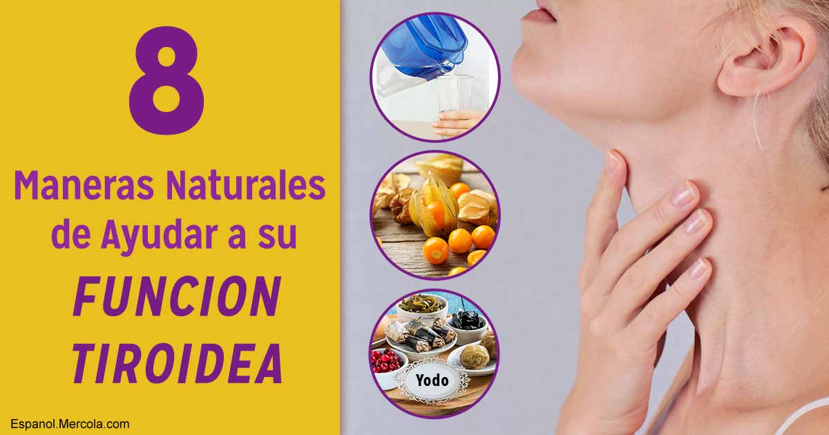 tratamiento para el hipotiroidismo primario