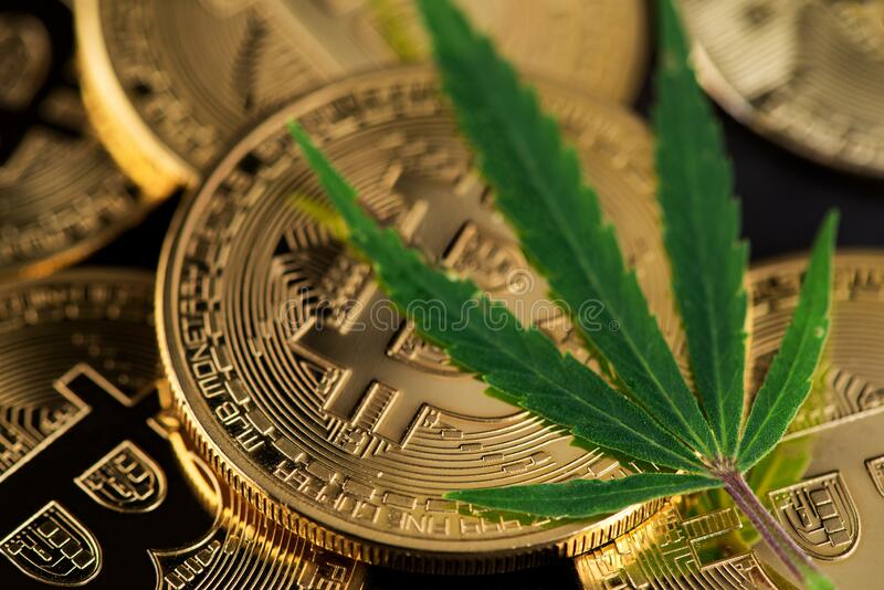 Como Invertir En Acciones De Marihuana En Estados Unidos Y Canada Arsenal Terapeutico